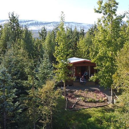 אקורירי Bakkakot 1 - Cozy Cabins In The Woods מראה חיצוני תמונה