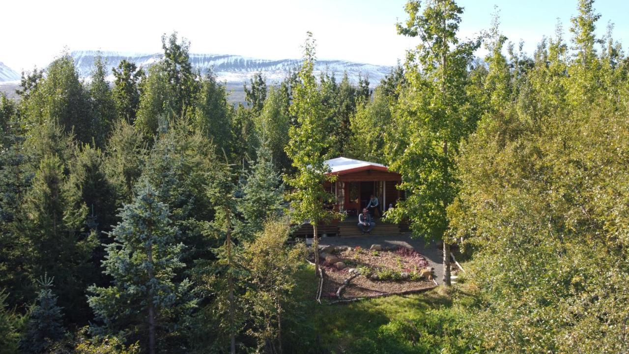אקורירי Bakkakot 1 - Cozy Cabins In The Woods מראה חיצוני תמונה