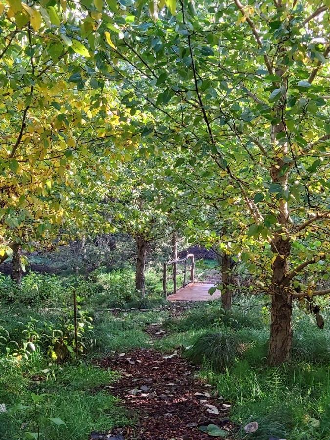 אקורירי Bakkakot 1 - Cozy Cabins In The Woods מראה חיצוני תמונה