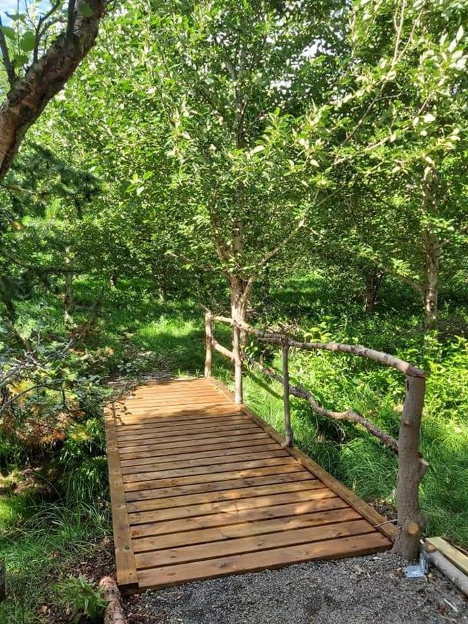 אקורירי Bakkakot 1 - Cozy Cabins In The Woods מראה חיצוני תמונה
